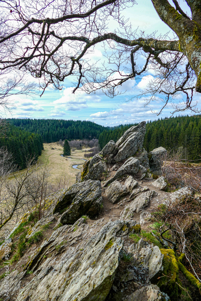 Fototapeta premium river in the mountains