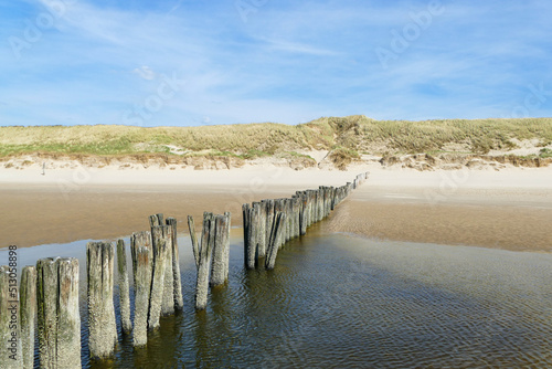 beach in Holland