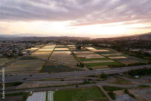 Wallpaper Mural 夕方の地域の、夕日に染まる水を張った水田　ドローン撮影 Torontodigital.ca