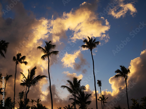 A beautiful sunrise on the ocean, the scarlet color of the sky, clouds and silhouettes of palm trees, a romantic moment on the beach