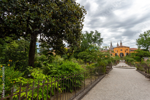 University of Padua Botanical Garden in Padua on a summer day