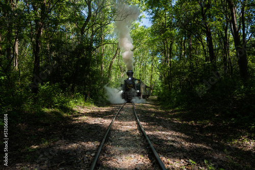 Steam Train in Hungary