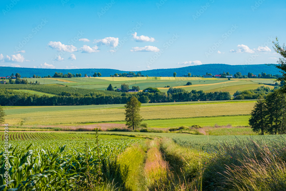Fototapeta premium Mounty landscape with field and blue sky