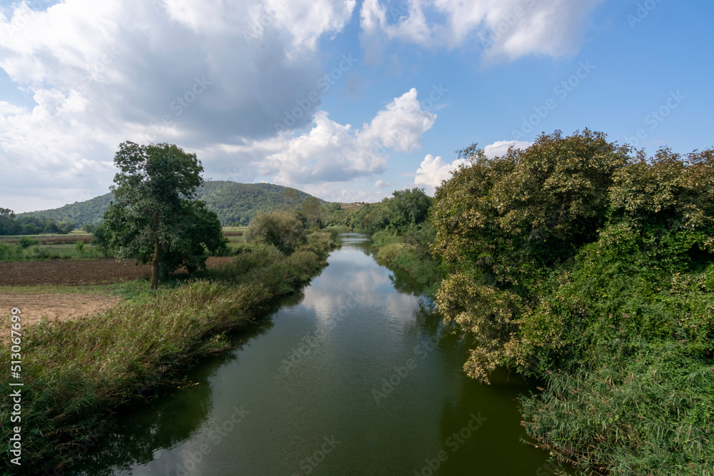 river in the forest