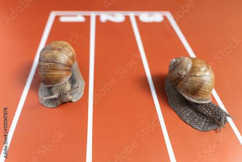Joke competition of snails on stadium tracks