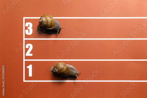 Joke competition of snails on stadium tracks