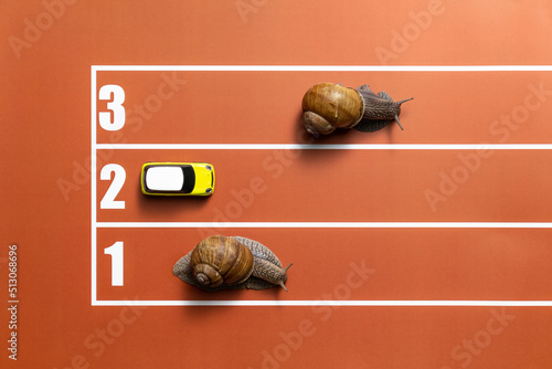 Joke competition of snails on stadium tracks