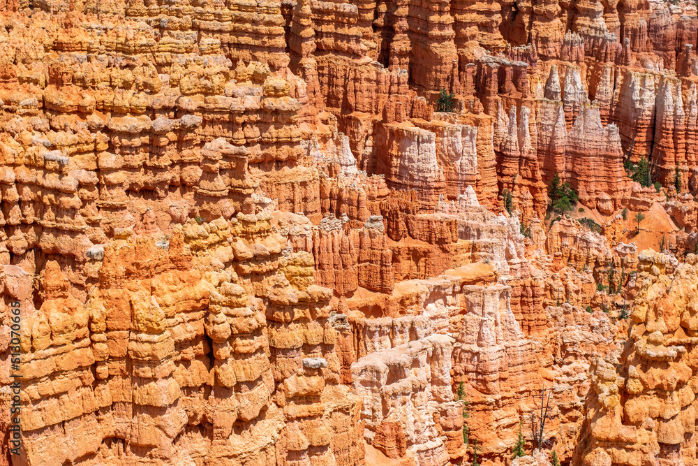 Fototapeta premium Bryce Canyon Texture