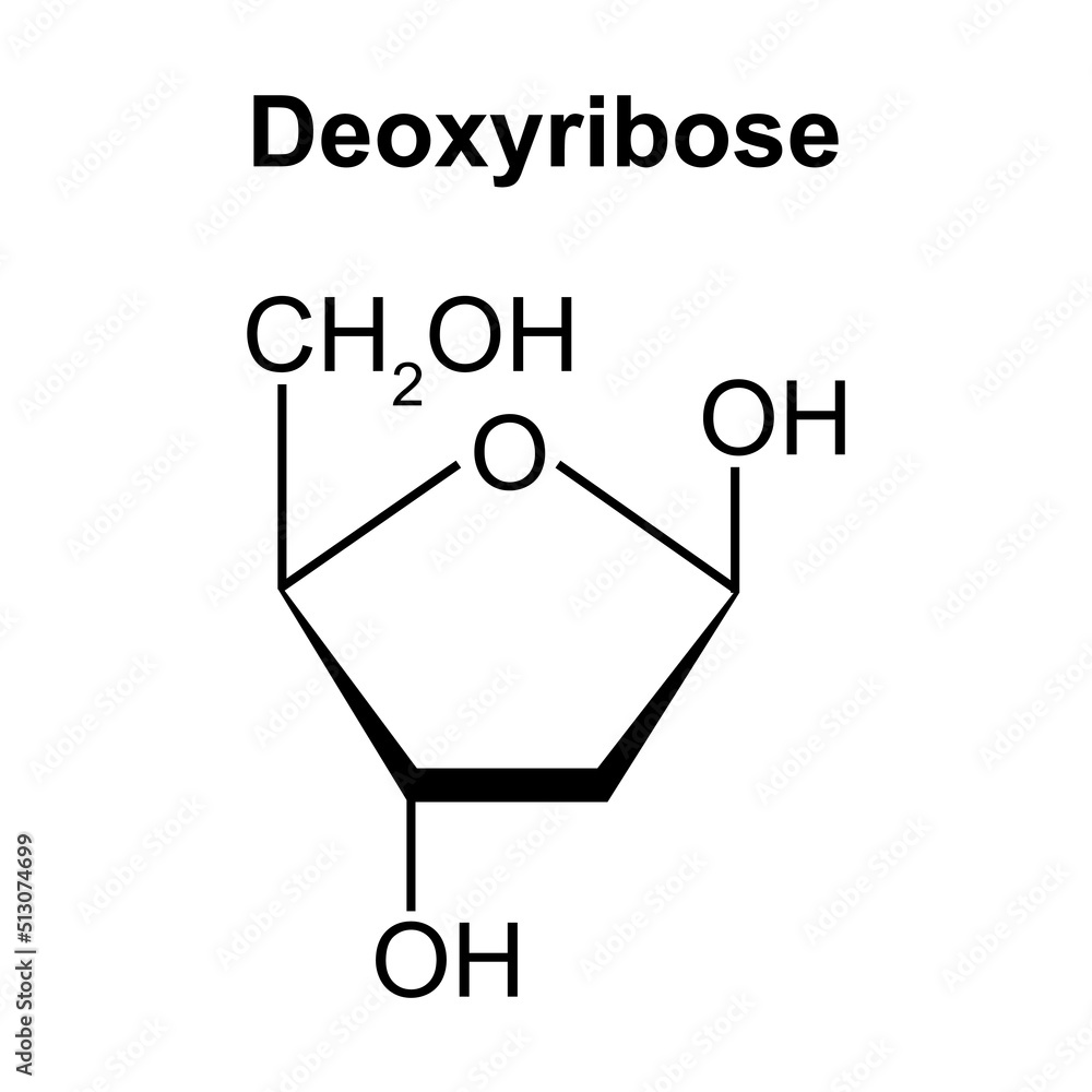 Chemical Structure of Deoxyribose Sugar Molecule. Vector Illustration