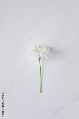 Photographie A very beautiful white background