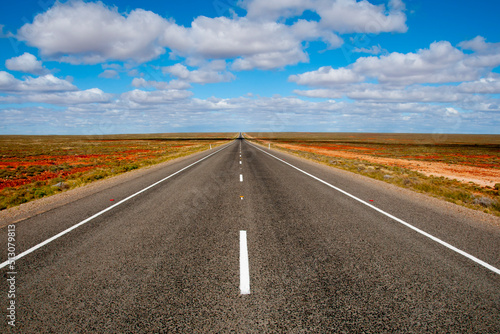 Stuart Highway - South Australia photo