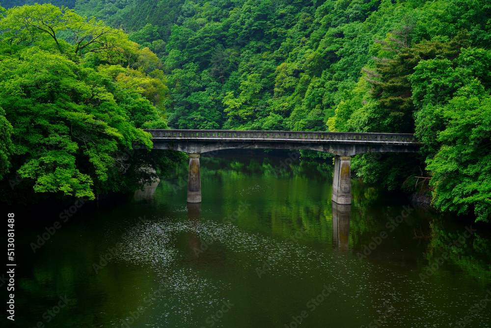 新緑の内場池に架かる古い橋(香川県高松市)