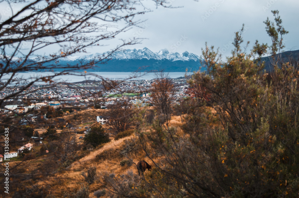 Beagle Channel with the buildings of Ushuaia and its snowy mountains in the background. Tierra del Fuego, Argentina