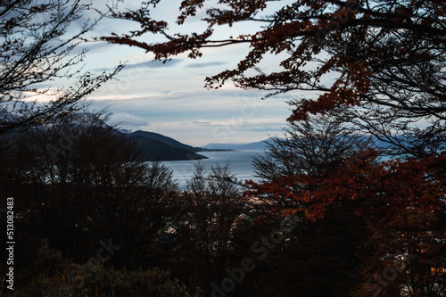 Obraz na płótnie Beagle Channel seen from a forest path with native vegetation in autumn and its snowy mountains in the background. Ushuaia, Argentina w salonie