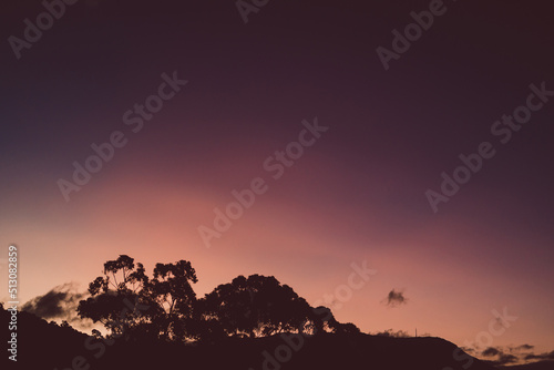 pink purple and orange sunset over the mountains with eucalyptus gum trees silhouettes shot in Tasmania