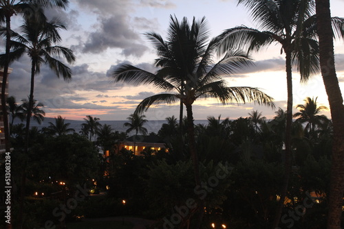evening in the tropics