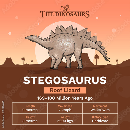 Description and Physical Characteristics of Stegosaurus - Vector Illustration