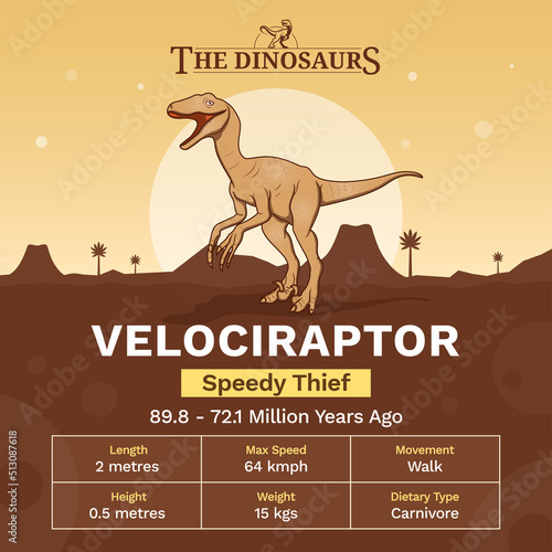 Description and Physical Characteristics of Velociraptor - Vector Illustration