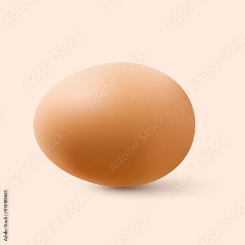 Organic Chicken Egg. Realistic Chicken Brown Egg with Shadow Effects