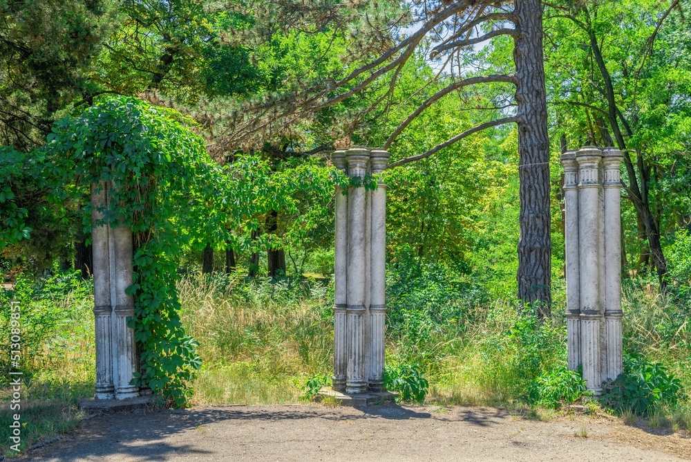Old park in Chkalov sanatorium in Odessa, Ukraine