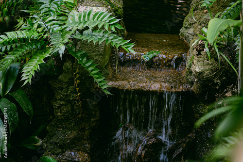 waterfall with green plants 