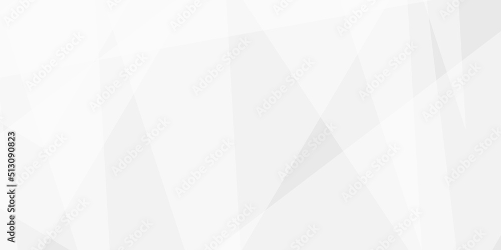 Abstract geometric white and gray color background. White paper modern polygon background, vector illustration. Geometry shine and layer element vector for presentation design. paper texture design . Abstract geometric white and gray color background. White paper modern polygon background, vector illustration. Geometry shine and layer element vector for presentation design. paper texture design .