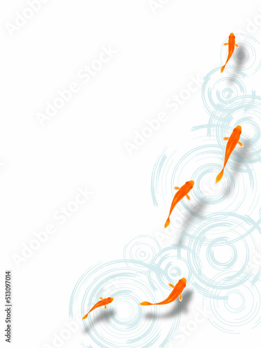 上から見た泳ぐ金魚と水紋