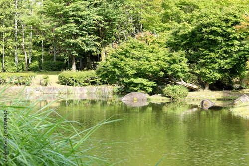 Fototapeta Naklejka Na Ścianę i Meble -  びわこ文化公園の初夏の風景