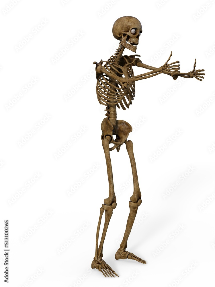 3d-illustration of an isolated fantasy skeleton giving thumbs up 3d-illustration of an isolated fantasy skeleton giving thumbs up