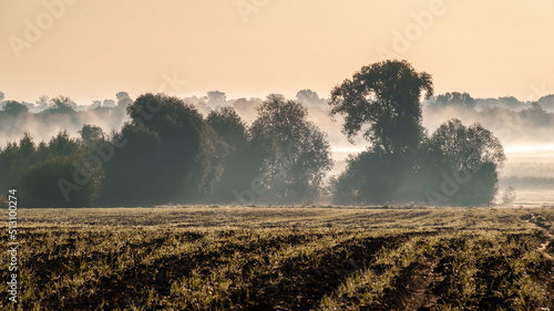 Poranek z mgłami w Narwiańskim Parku Narodowym, Podlasie, Polska