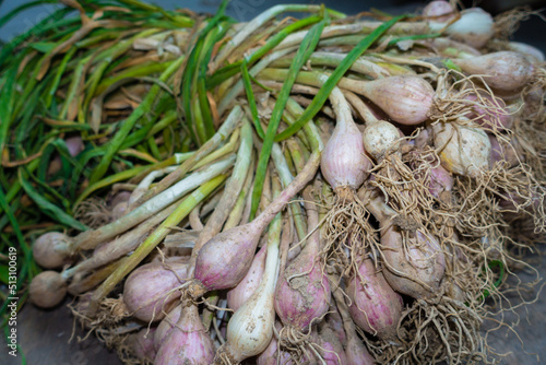 A closeup shot of raw garlic with covering and leaves. Organically grown garlic in North India.