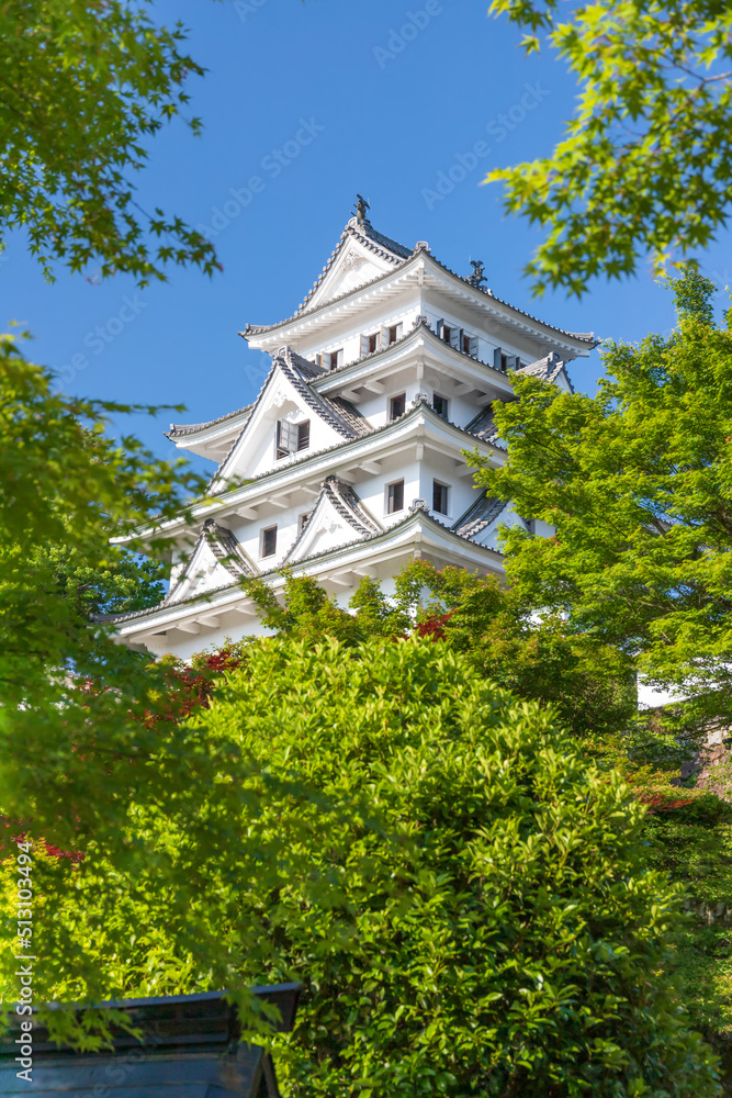 青空と新緑が美しい、岐阜県郡上八幡城