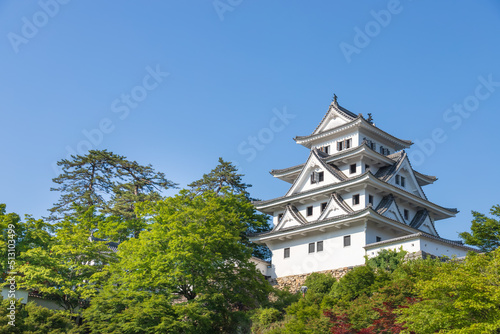 青空と新緑が美しい、岐阜県郡上八幡城