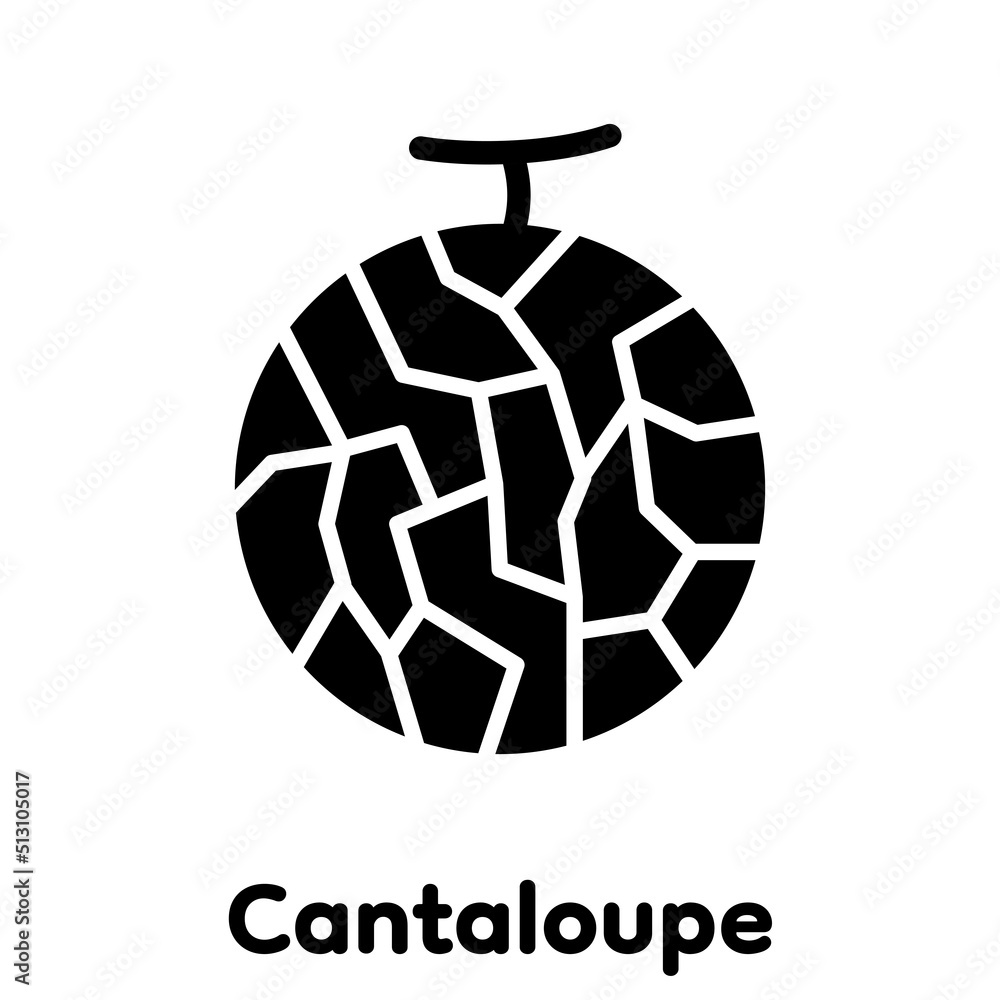 Fototapeta premium Cantaloupe glyph icon, Vector, Illustration.