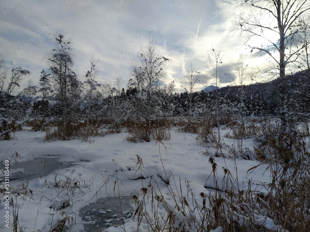 Fototapeta premium Winteridylle im Moor