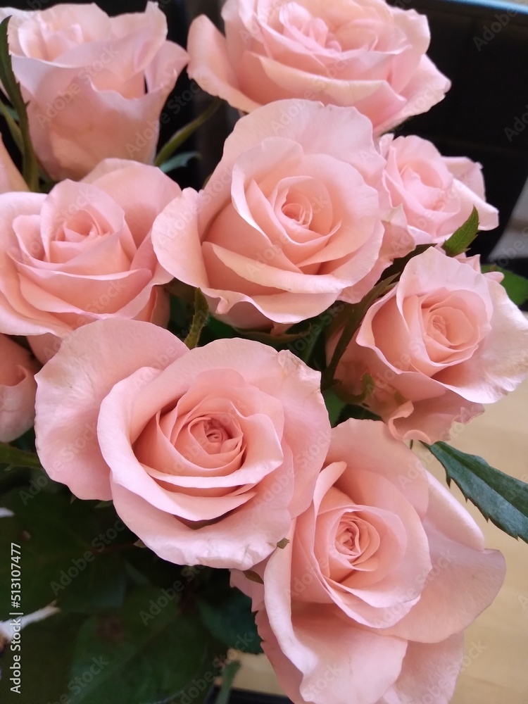 Obraz premium pink roses bouquet
