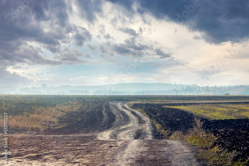 Dirt road in the field in autumn on a cloudy day  dark rainy sky over the field