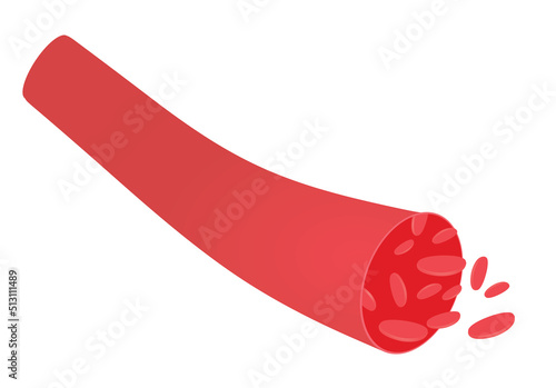 Vascular blood artery. vector illustration