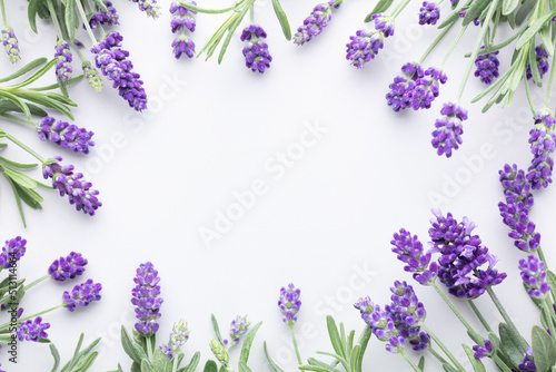 Flowers composition  frame made of lavender flowers on pastel background.