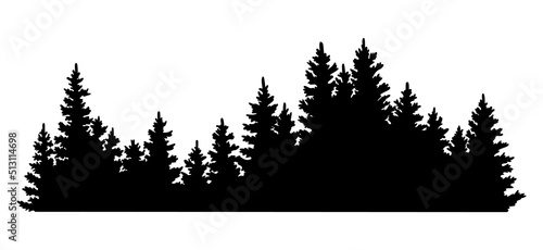 Canvas Print Fir trees silhouette