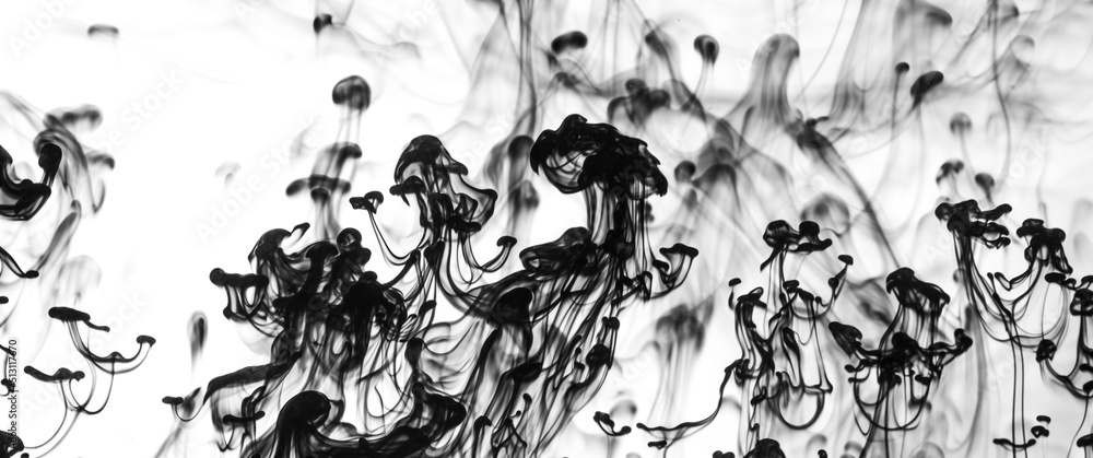 Black ink dropped into water on white background. Black ink dropped into water on white background.