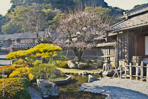 Bild auf Leinwand Beautiful Japanese Garden inside Sengan-en in Kagoshima, Japan