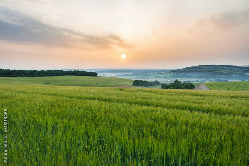 Beautiful English Summer sunrise landscape image looking over rolling hills with mist in distance and hazy sun low in the sky Beautiful English Summer sunrise landscape image looking over rolling hills with mist in distance and hazy sun low in the sky