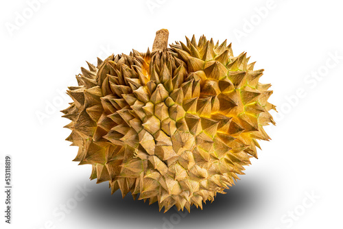 Single whole ripe durian fruit isolated on white background with clipping path. Freshly harvested with sharp spike peel durian on white backgeound.Durian is commomly known as King of fruit. photo