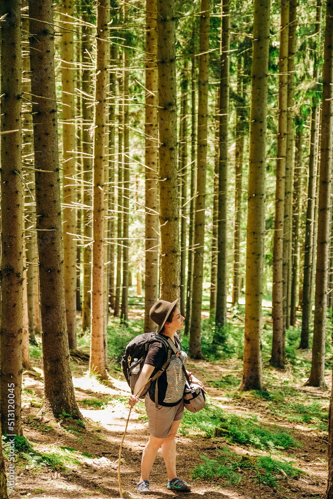 Summer trip to the mountains. A woman walks in the forest in summer. Summer trip to the mountains. A woman walks in the forest in summer.
