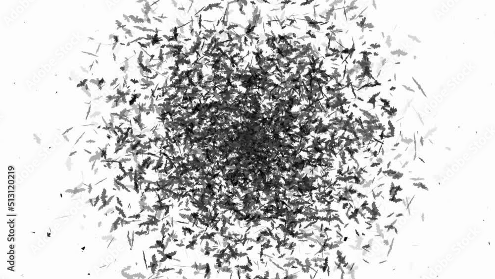 animation of a flying flock of bats and the words animation of a flying flock of bats and the words