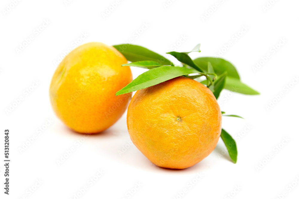 Tangerine fruits isolated on white. Fresh tangerine with green leaves Tangerine fruits isolated on white. Fresh tangerine with green leaves