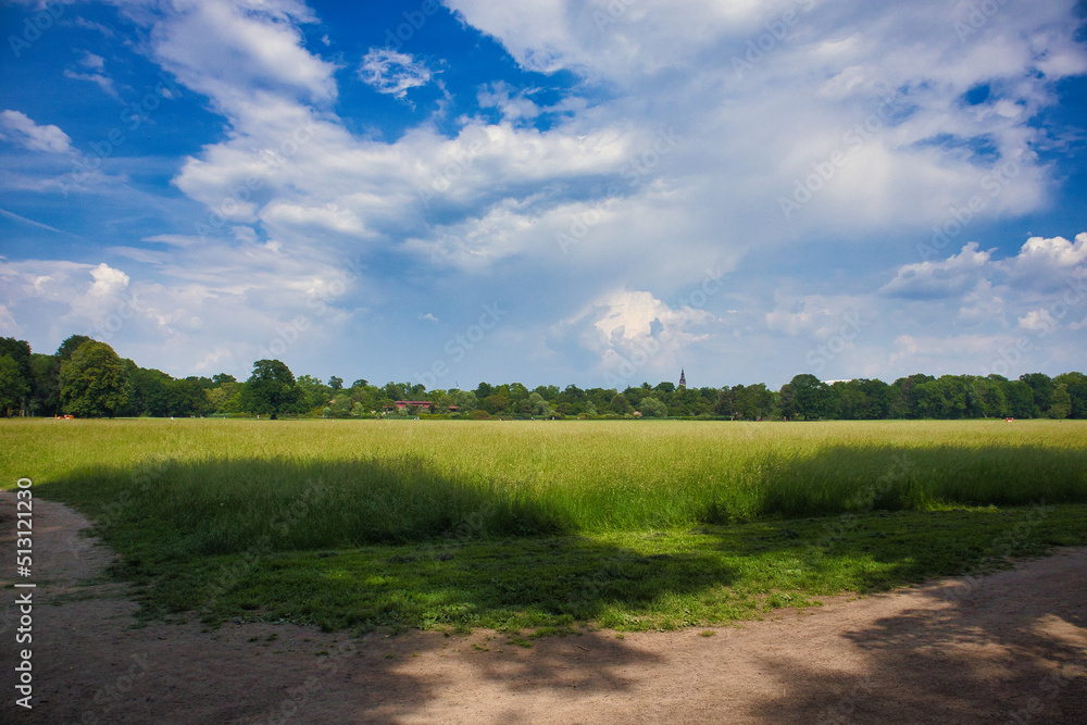 Wiese mit hohem Gras im Park Rosenthal, Leipzig, Sachsen, Deutschland Wiese mit hohem Gras im Park Rosenthal, Leipzig, Sachsen, Deutschland