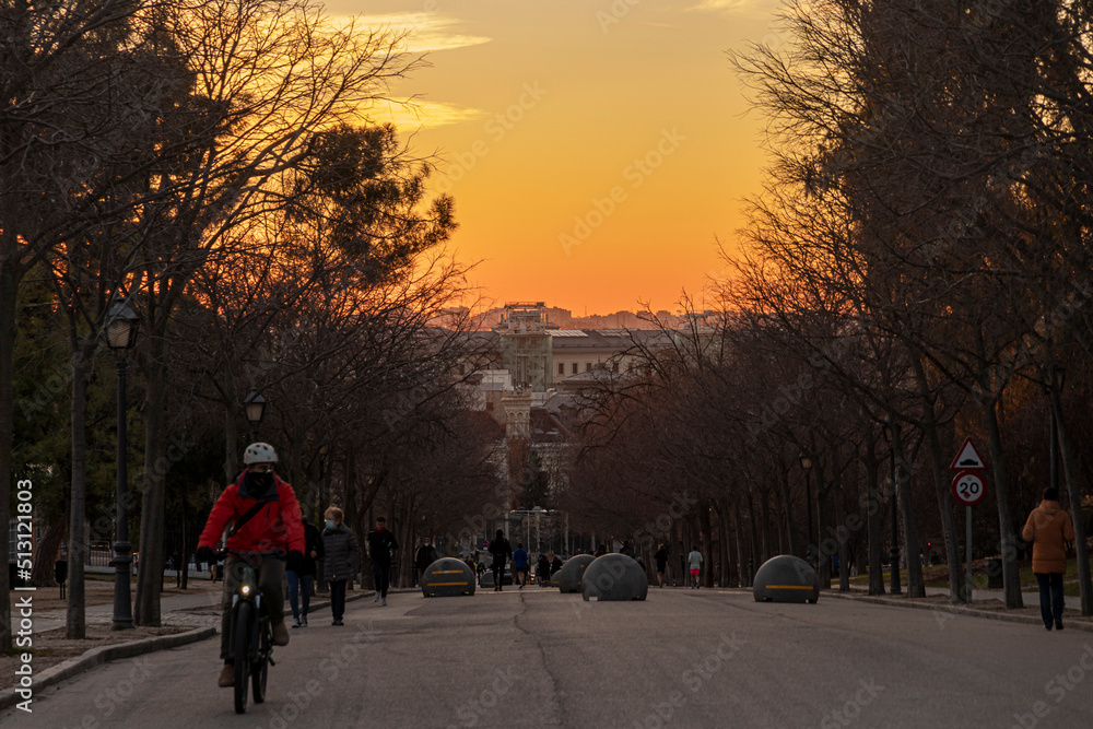 Madrid, Spain. Trees of the Buen Retiro park at sunset Madrid, Spain. Trees of the Buen Retiro park at sunset