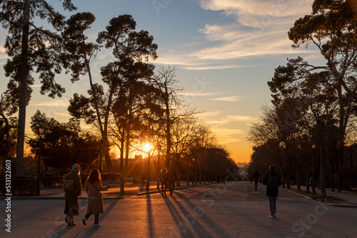 Madrid, Spain. Trees of the Buen Retiro park at sunset